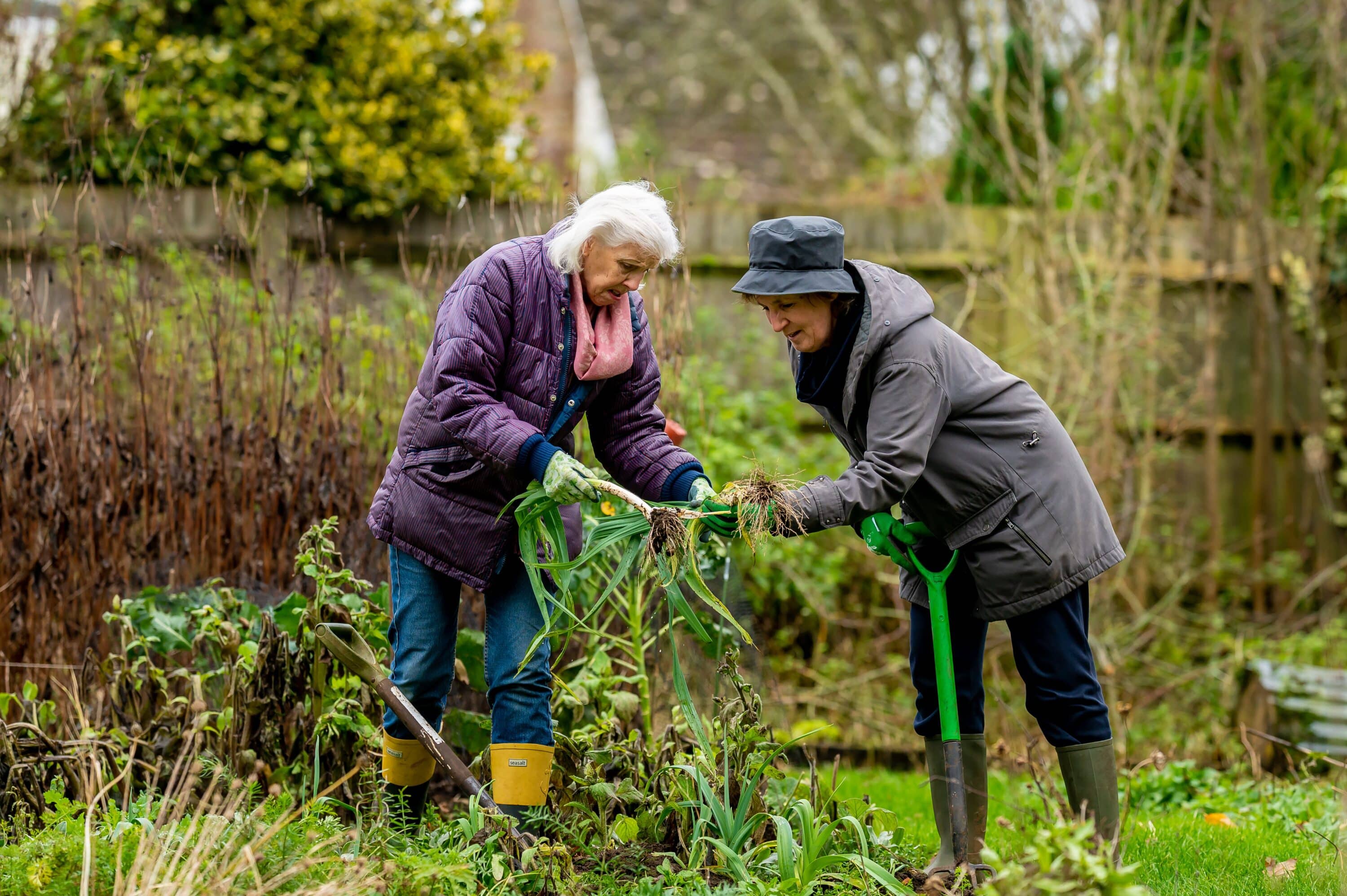 Gardening Tips for Seniors - The Therapeutic Benefits of Gardening for Seniors