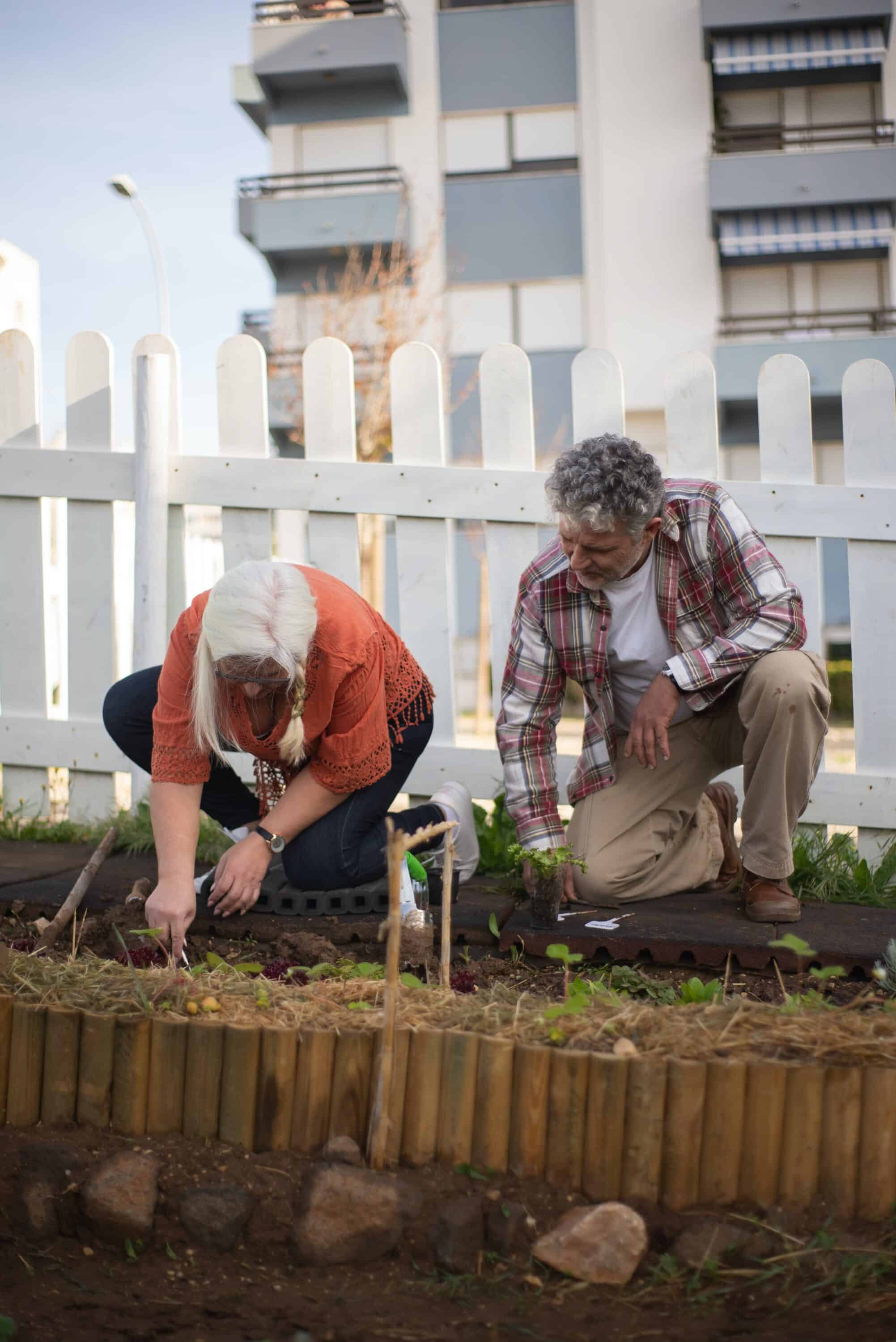 Gardening Tips for Seniors - Staying Safe While Gardening: Tips for Seniors