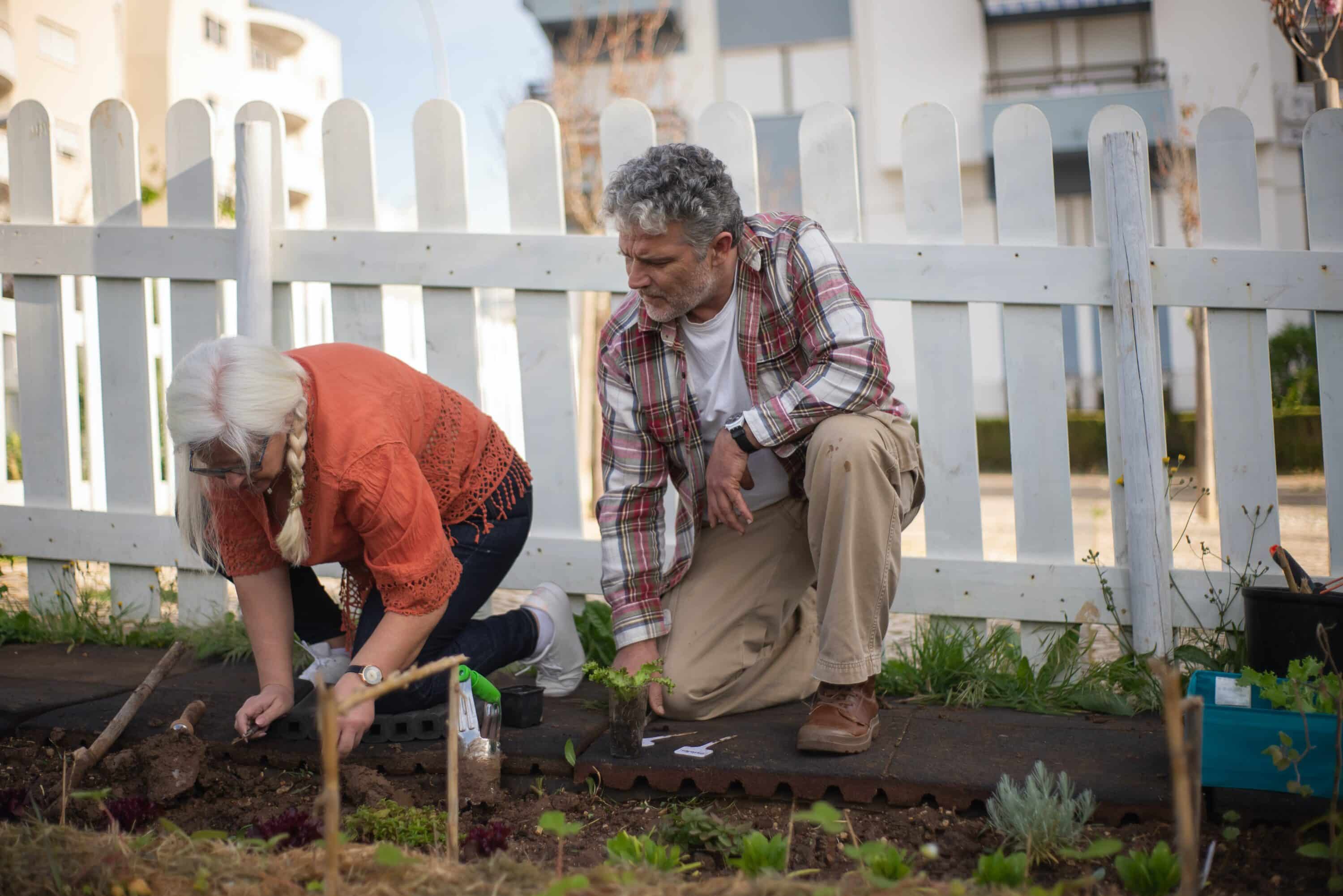 Gardening Tips for Seniors - Gardening as a Legacy: Tips for Involving Grandchildren
