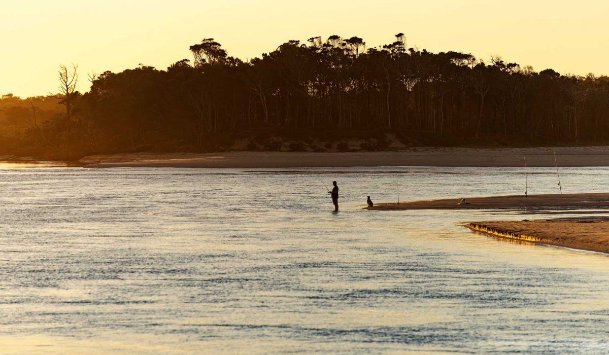 silhouette-of-man-fishing-and-a-dog-on-a-river-bank-at-sunset-time-on-summer-in-noosa-australia-3